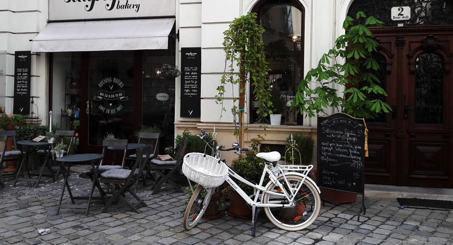 Tips Wenen: fietsen in Wenen | Mooistestedentrips.nl