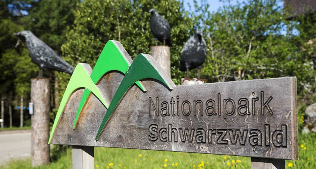 Nationalpark Schwarzwald | Tips voor een vakantie Zwarte Woud