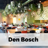 Stedentrip Nederland: Den Bosch. Mini-break in Nederland: Den Bosch | Mooistestedentrips.nl