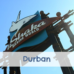 Stedentrip Durban, Zuid-Afrika | Mooistestedentrips.nl