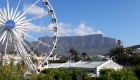 Kaapstad: uitzicht op de Tafelberg | Mooistestedentrips.nl