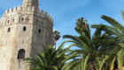 Stedentrip Sevilla | Tips Sevilla: Torre de Oro
